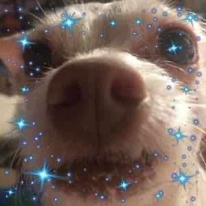 Meet your Posher, Debra